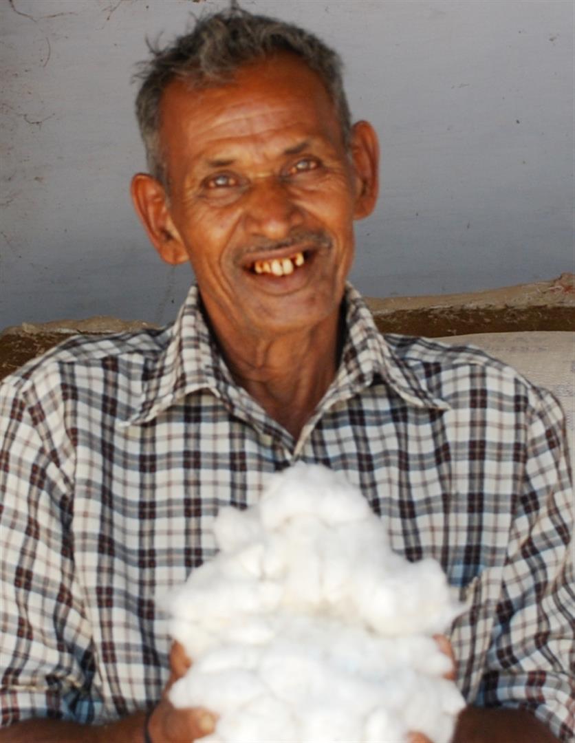 cotton with farmer
